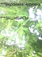 Зашибись! — Вероника Чуркина
