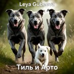 Тиль и Арто — Leya Gubeeva