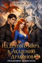 Из другого мира в Академию Драконов — Ирион Зет
