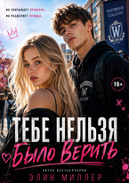 Тебе нельзя было верить — Элин Миллер