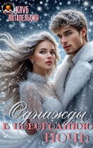 Однажды в новогоднюю ночь — Клуб Литапельсин