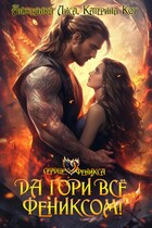 Да гори всё… Фениксом! — Анжелика Лиса, Катерина Кот