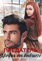 Предатель. Двойня от бывшего — Аелла Мэл