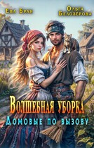 Волшебная уборка. Домовые по вызову — Ева Бран