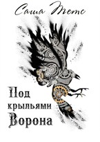 Под крыльями Ворона — Саша Тетс