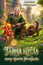 Тайна котла номер триста двенадцать — Екатерина Мордвинцева