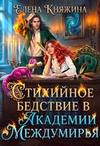Стихийное бедствие в Академии Междумирья — Елена Княжина