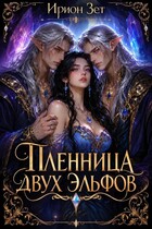 Пленница двух эльфов — Ирион Зет
