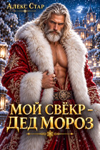 Мой свёкр — Дед Мороз — Алекс Стар