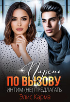 Парень по вызову. Интим (не) предлагать — Элис Карма