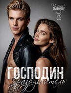 Господин Разрушитель — Читай DRAGONFLY