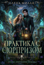 Практика с сюрпризом — Елена Милая