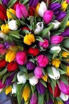 Куплю тебя. Навсегда. Бонус — Галина  Чередий