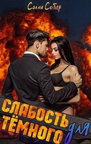 Слабость для Тёмного — Сэлли Собер