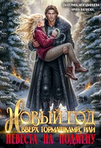 Новый год вверх тормашками, или Невеста на подмену — Екатерина Мордвинцева
                                                                                                            
                                                                                                                                                                                                                                        ,
                                                                
                                                                                                                                            Ирина Ваганова